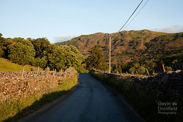 small road in eskdale with hollinghead bank in the background