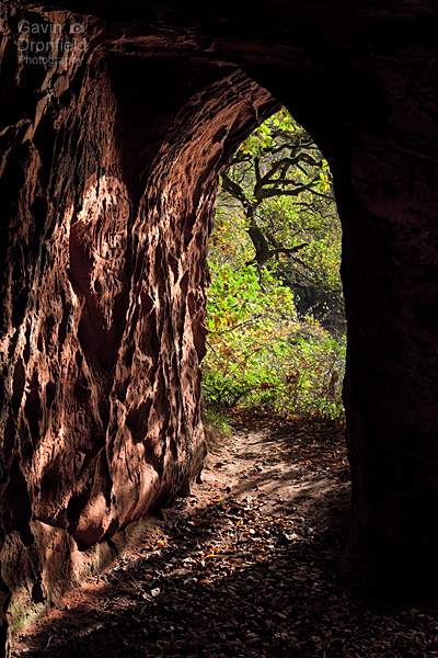 looking out of the doorway of Lacys Caves towards autumnal trees