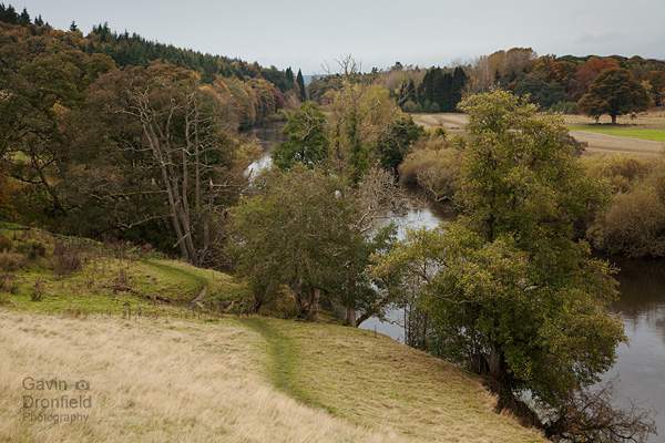 view towards tib wood from kirk bank in autumn