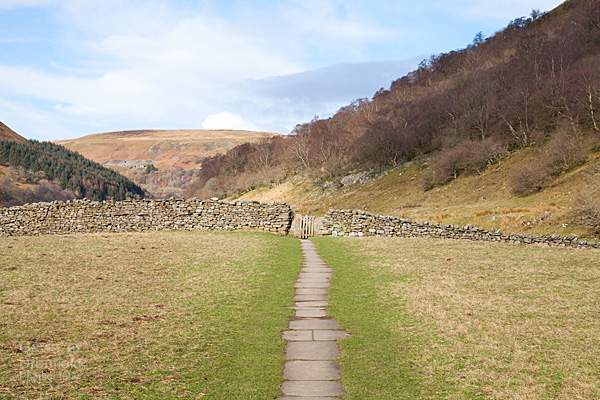 swaledale meadow under blue winter sky with paved path running through it towards gate in dry stone wall