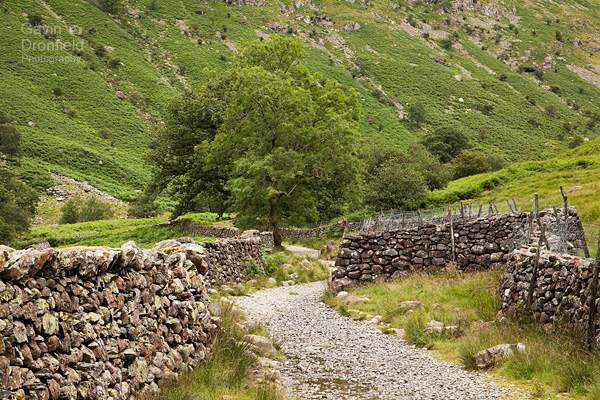 walled track in stonethwaite valley bordered by dry stone walls