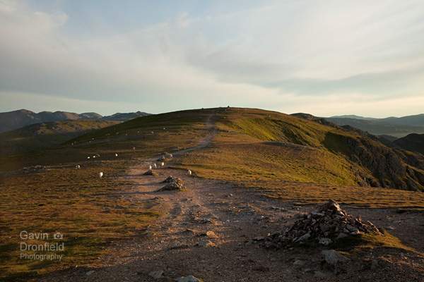 cairn lined footpath  to brim fell from old man of coniston