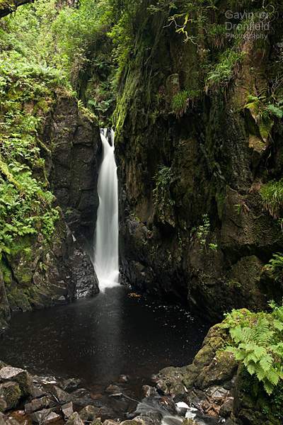 Stanley Ghyll Force waterfall plunge pool in summer