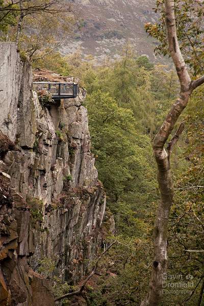 viewing platform jutting out over edge of stanley ghyll gorge amidst autumnal trees