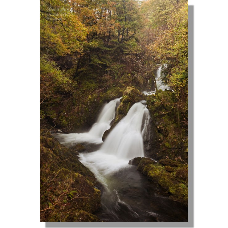 river brathay falls over colwith force waterfall into ravine in brightly coloured autumnal colwith woods