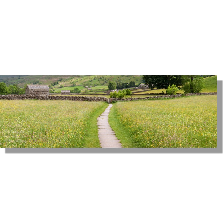 paved path through summer Muker meadows panorama