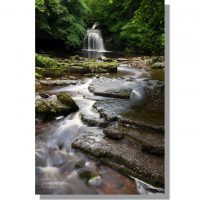 Cauldron Falls / West Burton waterfall and Walden Beck in verdant summer woodland