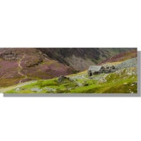 Dubs Hut bothy in august heather with path to Haystacks