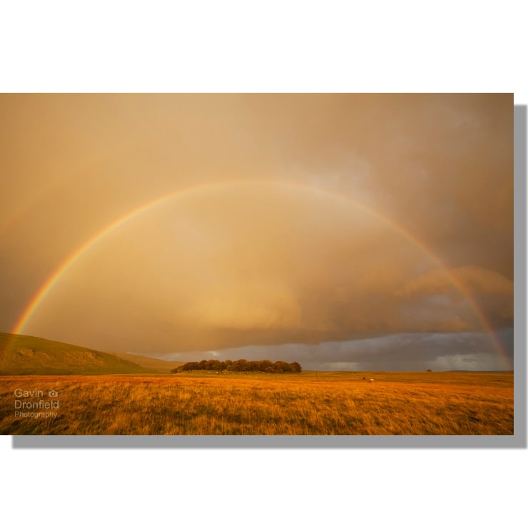 double rainbow over Great Close plantation near Malham Tarn