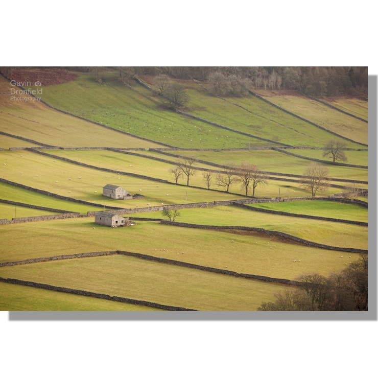 Kettlewell fields with dry stone walls and barns in winter
