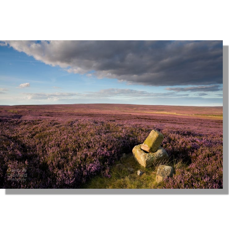 Roppa Cross North in heather on Helmsley Moor during August sunset