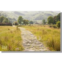 paved easedale path through summer meadows leading to new bridge and sour milk ghyll