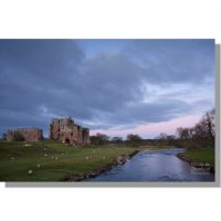 brougham castle medieval keep surrounded by grazing sheep beside river eamont under pink dawn skies