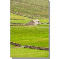 far barn in stockdale valley in buttercup filled green summer meadows bounded by dry stone walls
