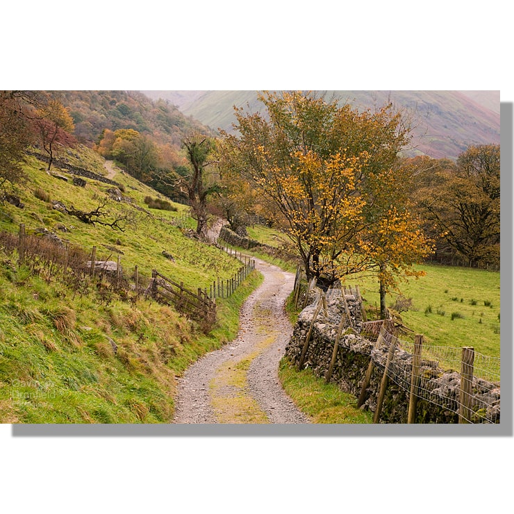 track and dry stone wall leading through fields and autumnal trees near hartsop in the patterdale valley